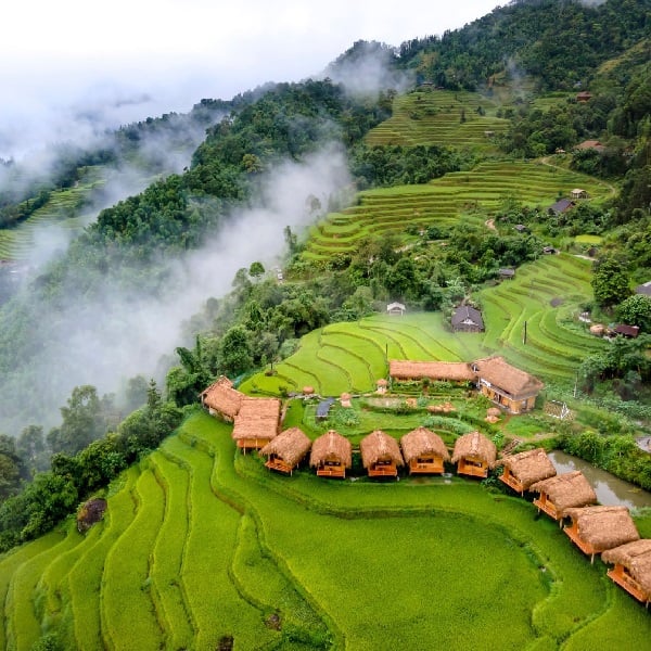 Tour TP.HCM - Hoàng Su Phì - Y Tý - Sapa