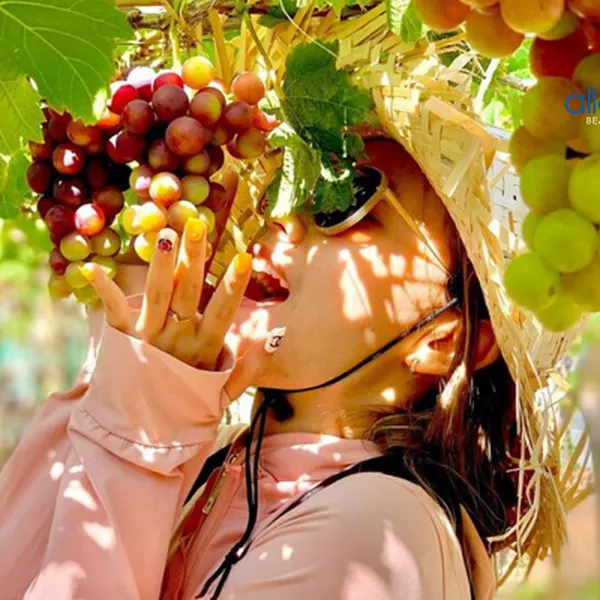 Tour Du Lịch Nha Trang 2 Ngày 2 Đêm