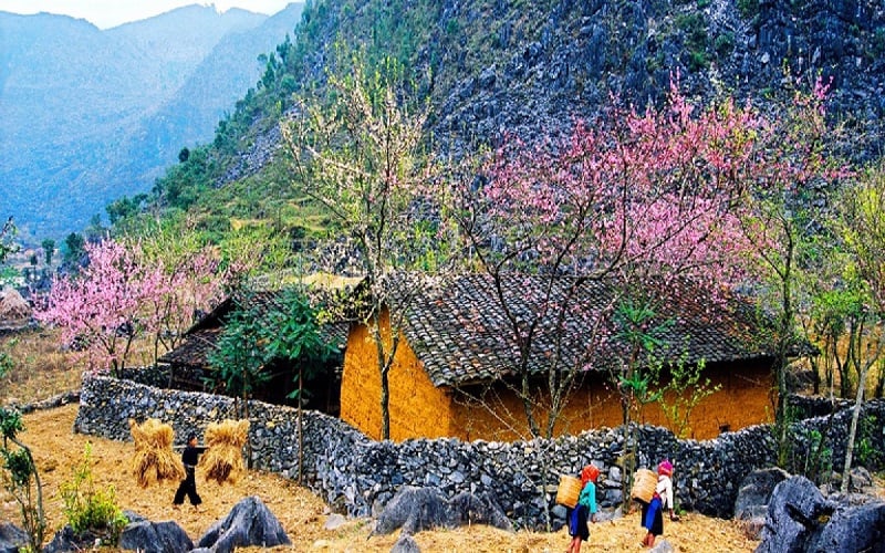Tour TP.HCM - Hà Giang 3 Ngày 2 Đêm