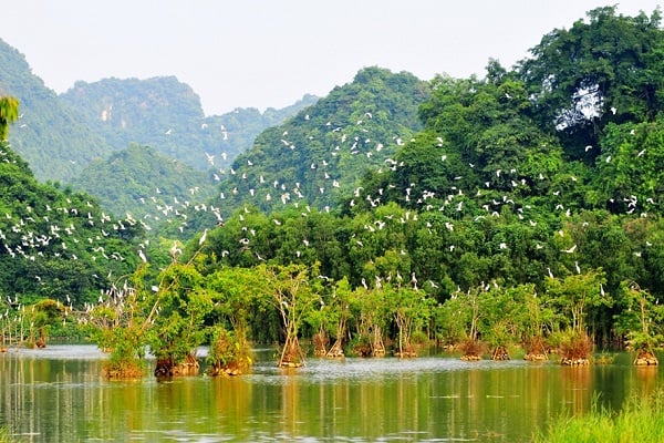 vuon-chim-thung-nham-tour-ninh-binh-3-ngay-2-dem.jpg