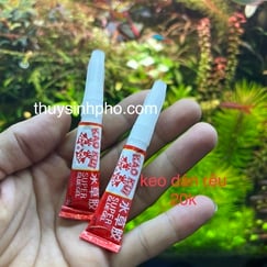 Keo dán rêu thuỷ sinh