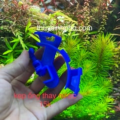 Kẹp ống thay nước