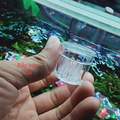 Bẫy sán hồ thuỷ sinh 