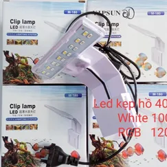 Đèn Kẹp Hồ 40 Trở Lại - White