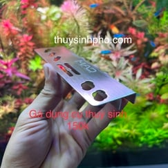 Gá Dụng Cụ Thủy Sinh
