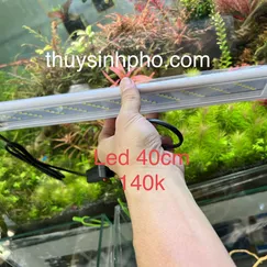 Đèn led hồ 40