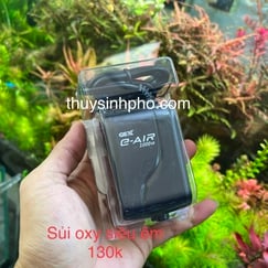 Sủi gex 1000