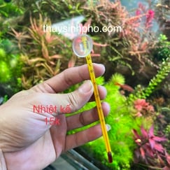 Nhiệt kế dán hồ thuỷ sinh