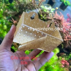 Cốc mica ươm cây