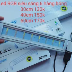 Led Siêu Sáng RGB 6 Hàng Bóng 30cm