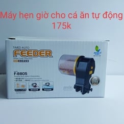 Máy cho cá ăn hẹn giờ
