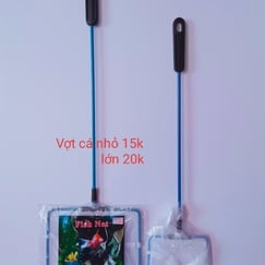 Vợt Cá Nhỏ