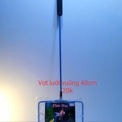 Vợt Cá
