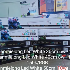 Xuanmielong Led White 40cm 8w