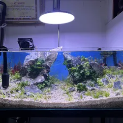 Hồ A. Quang 60.40.30