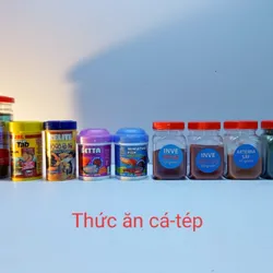 Cám Thái Inve