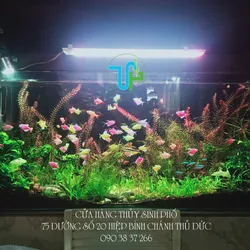 Chị Vân 120.25.50