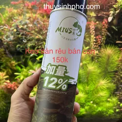 Keo dán rêu bán cạn mius