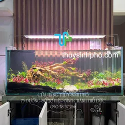 A THẮNG 120.30.50