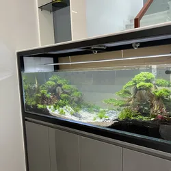 Hồ A.Duy 140.40.40