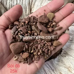 Sỏi đỏ