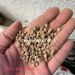 Nền Akadama