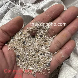 Cát Muối Tiêu