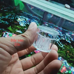 Bẫy sán hồ thuỷ sinh 