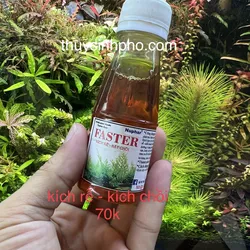 Kích rễ nuphar