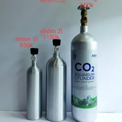 Bình Co2 Nhôm 2L