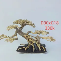 Bonsai Lũa Thủy Sinh 30cm