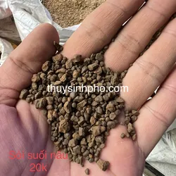 Sỏi suối nâu
