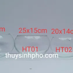 Chậu Thủy Tinh Tròn