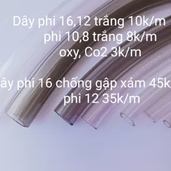 Dây Chống Gập Phi 12
