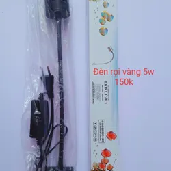 Đèn Rọi Vàng