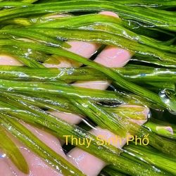 Hẹ nước thủy sinh