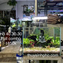 Hồ 40.30.30 ngộ không