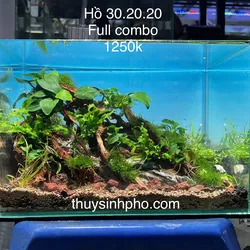Hồ 30.20.20 bầu trời