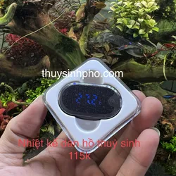 Nhiệt kế điện tử dán hồ thuỷ sinh