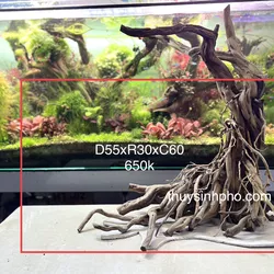 Nhất trụ lũa hải sơn quỳ