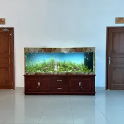 Hồ cá Công Ty Bình Phú 200.60.60