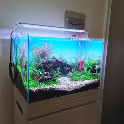 Anh Dũng 60.40.40
