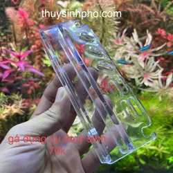Gá dụng cụ thuỷ sinh mica