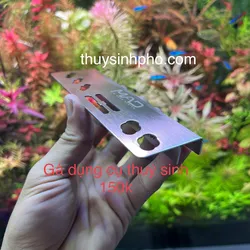 Gá Dụng Cụ Thủy Sinh