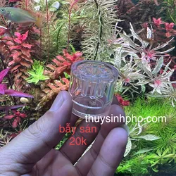 Bẫy sán hồ thuỷ sinh
