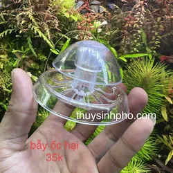 Bẫy ốc hại hồ cá