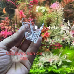 Cốc đựng trùn chỉ