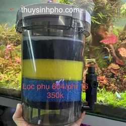 Lọc phụ 604 