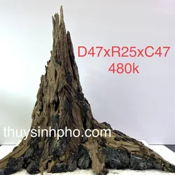 Nhất trụ hồ 50-60