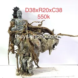 Layout tượng phật